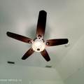 2299 Brook Drive - Photo 43