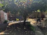 10645 St Marys Circle - Photo 22