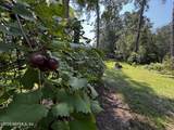 10645 St Marys Circle - Photo 25
