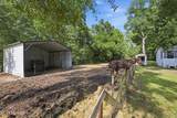2545 Sorghum Avenue - Photo 29