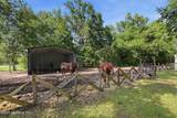 2545 Sorghum Avenue - Photo 30