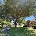11017 Apple Blossom Trail - Photo 3