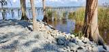 12638 Mandarin Road - Photo 11