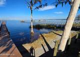 12638 Mandarin Road - Photo 13