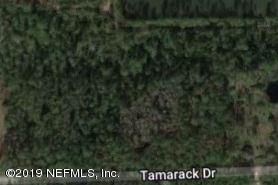 3658 Tamarack Dr - Photo 1
