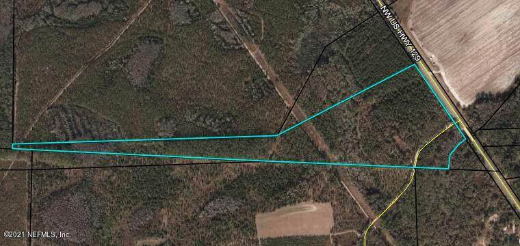 0 Us Rte. 129 - Photo 1