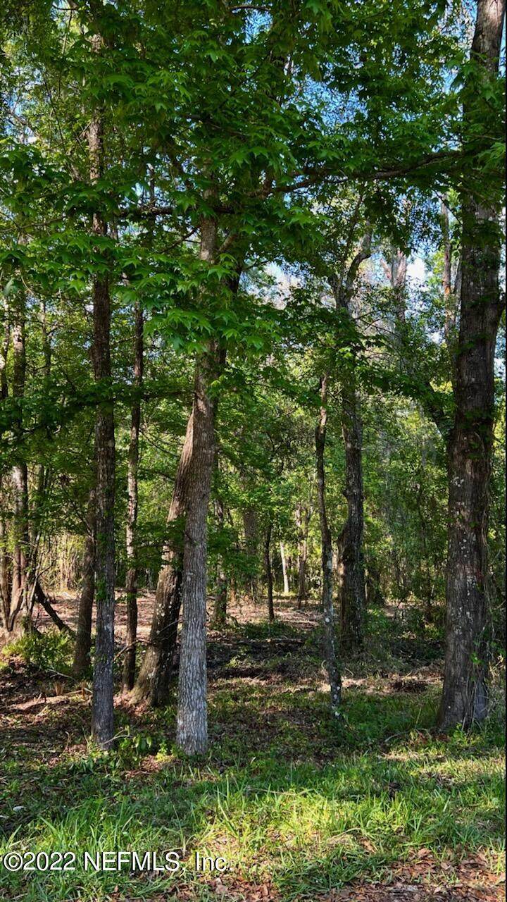 0000 Josephine Mosley Rd - Photo 1