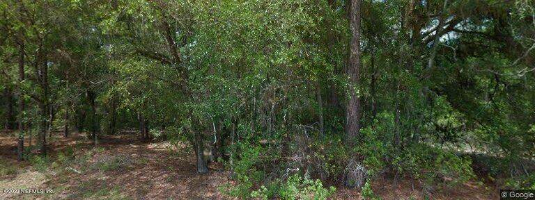2141 Andromedae Dr - Photo 1