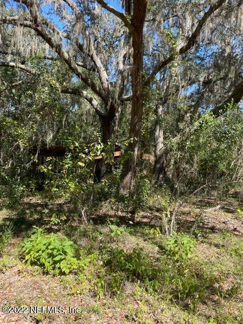 7043 Gatorbone Rd - Photo 1