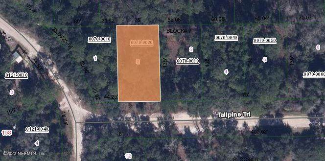 110 Tall Pine Trl - Photo 1
