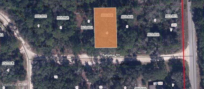 106 Tall Pine Trl - Photo 1