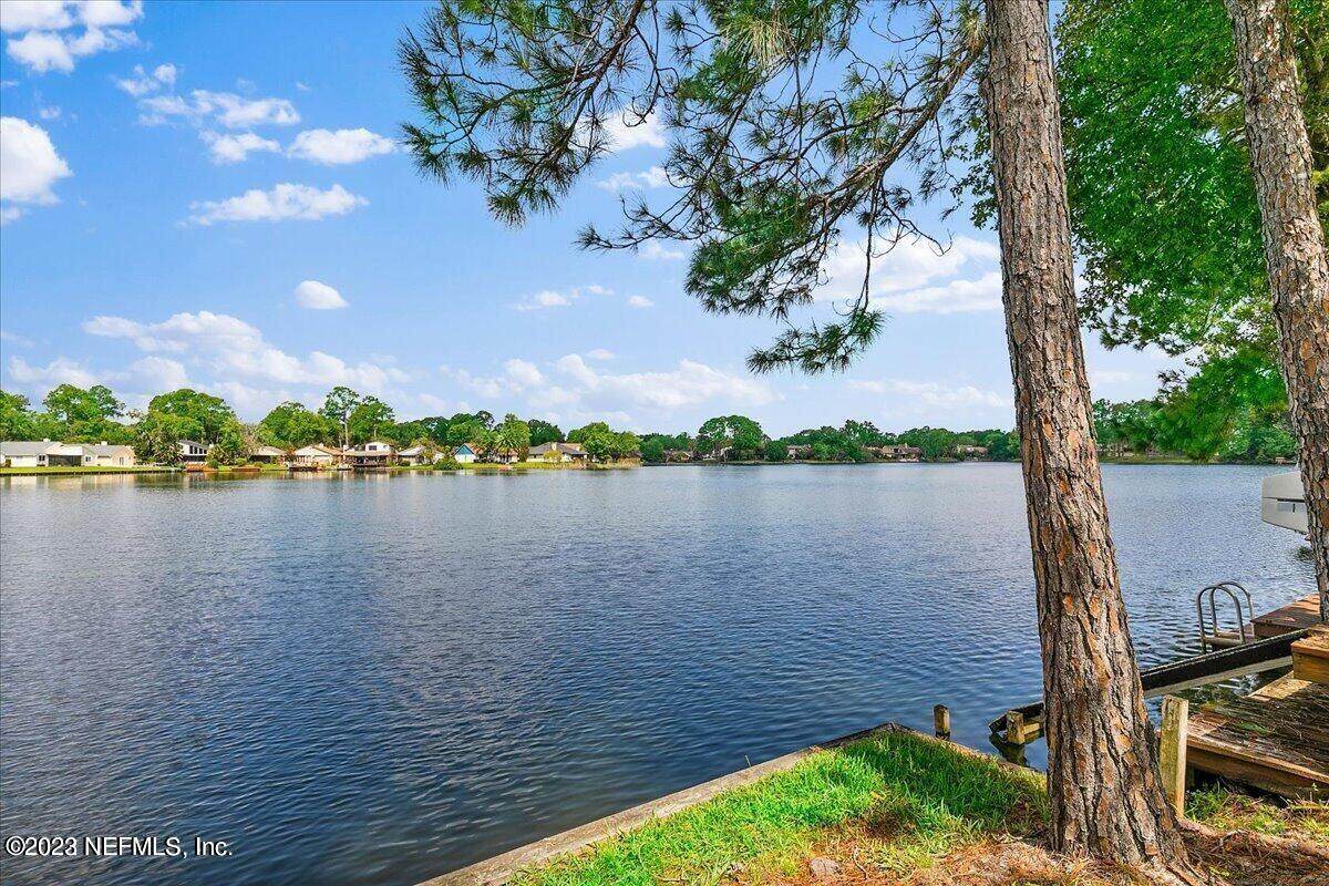 11298 Lake Mandarin Cir - Photo 1