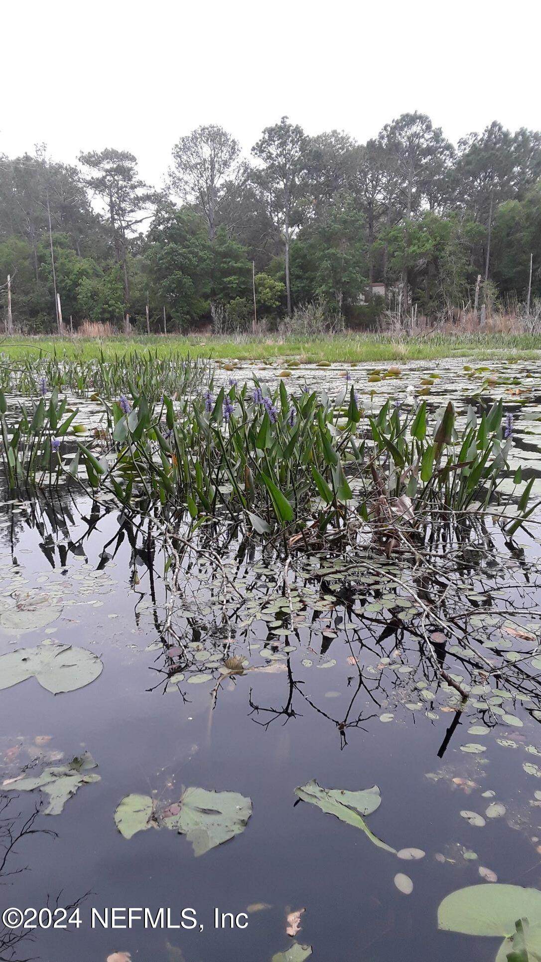 5455 Joshua Street - Photo 1