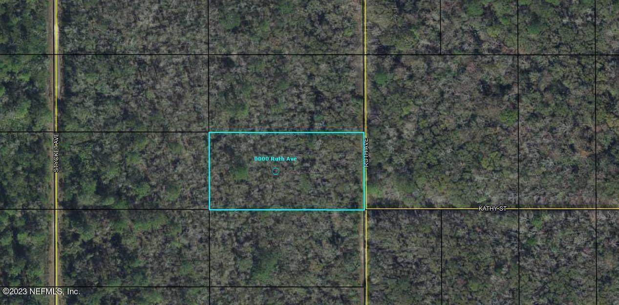 0000 Ruth Avenue - Photo 1