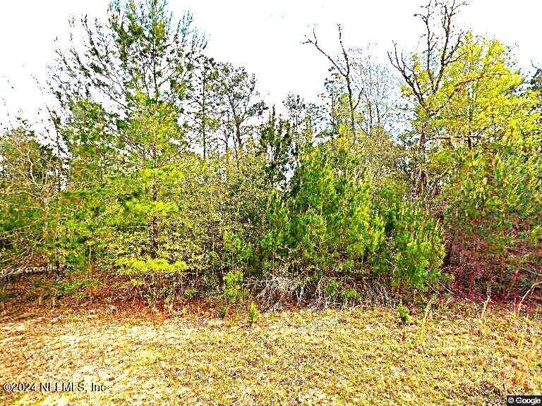 110 Del Monaco Avenue - Photo 1