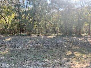 0230-0040 Indian Lakes Road - Photo 1