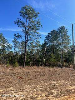 244 Cessna Way - Photo 1