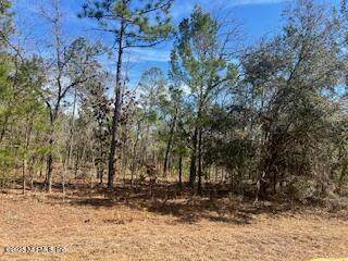 200 Melrose Landing Drive - Photo 1
