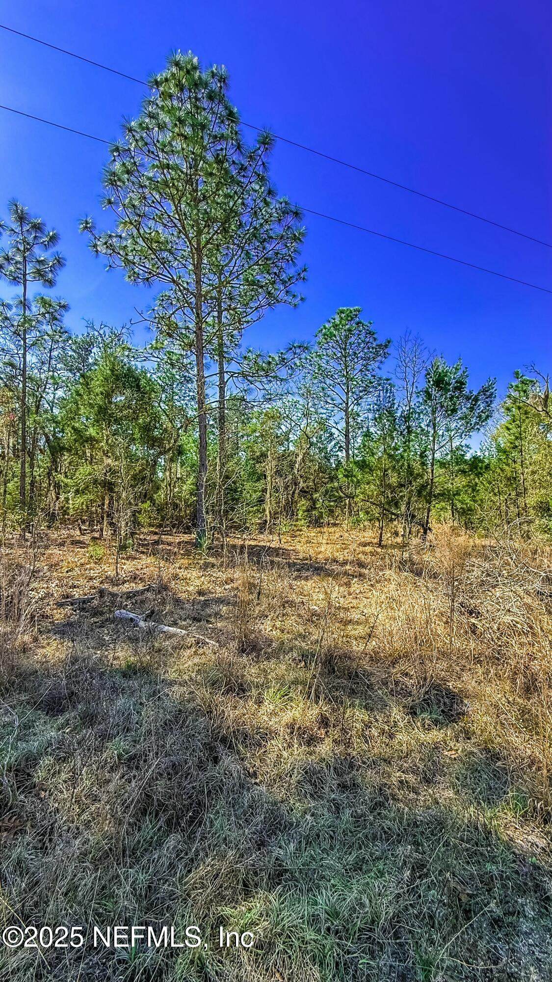 515 Interlachen Boulevard - Photo 1