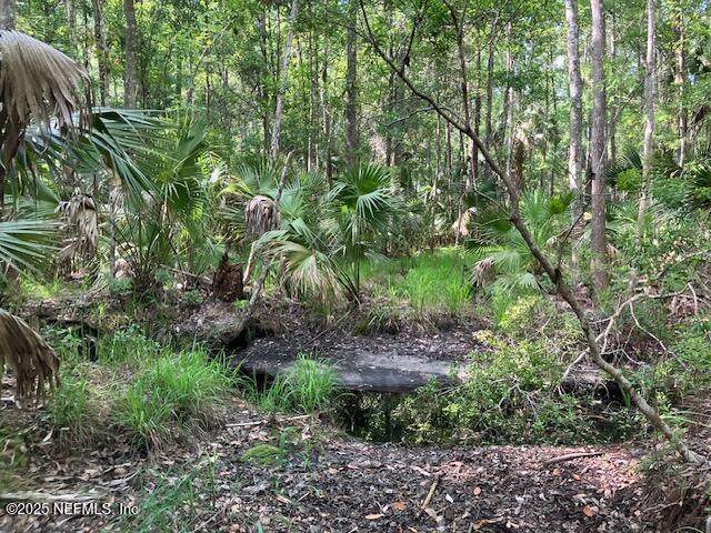 00 Little Branch Trail - Photo 1