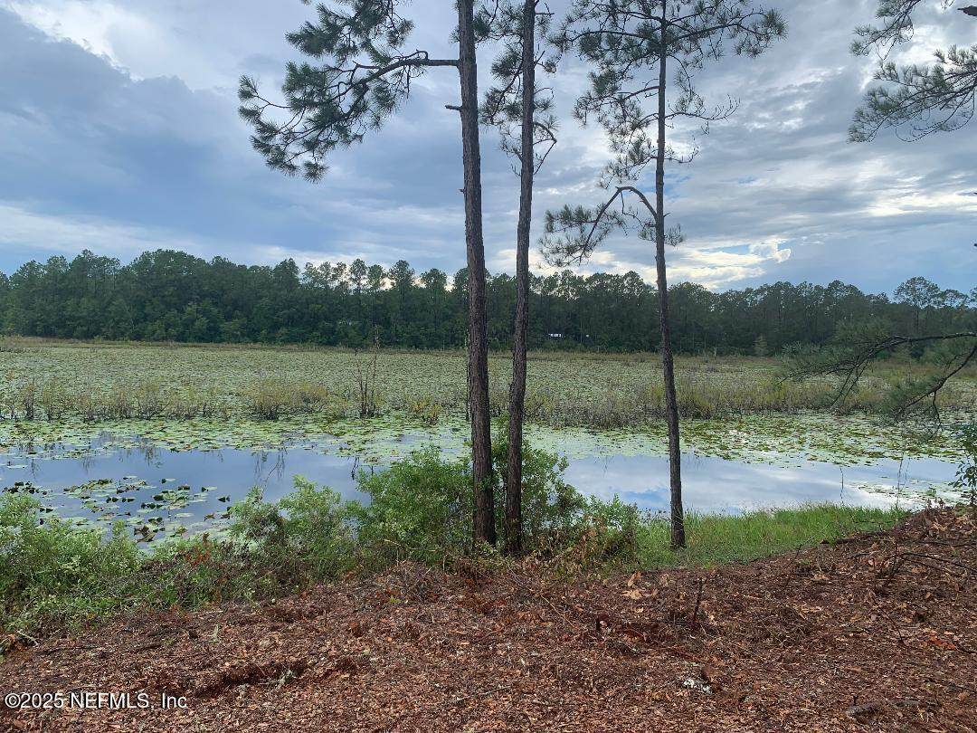 5519 Coronado Street - Photo 1