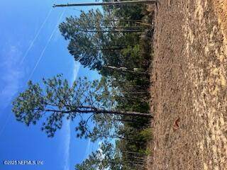 204 Flamingo Drive - Photo 1