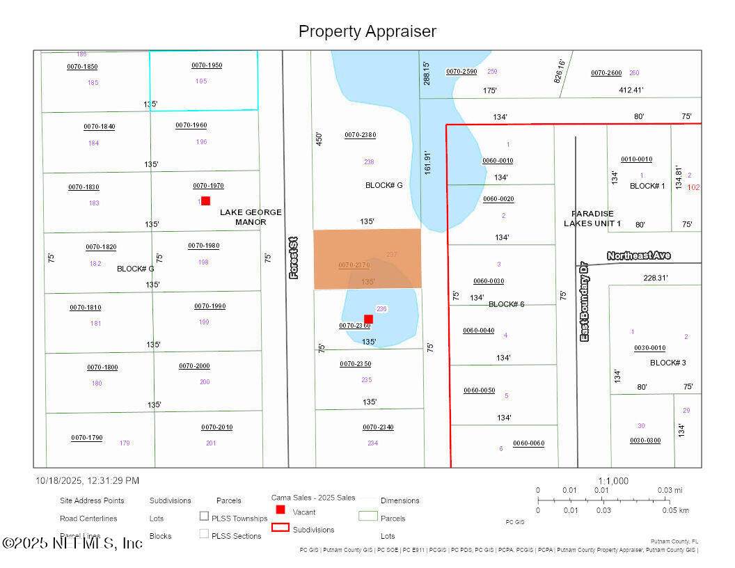 128 Forest Street - Photo 1