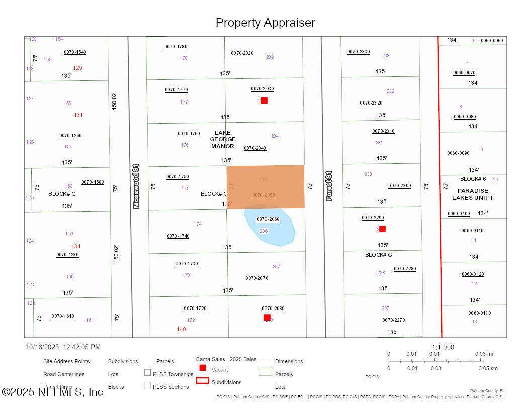 143 Forest Street - Photo 1