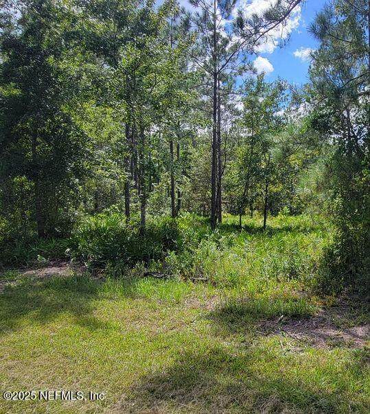 4329 Bondarenko Road - Photo 1