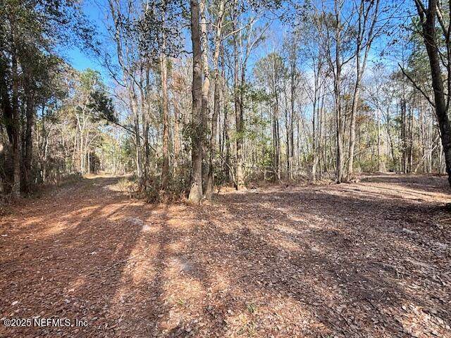 37125 Anna Marie Lane - Photo 1