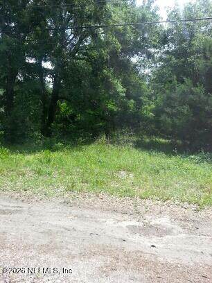 10695 Mclaurin Road - Photo 1