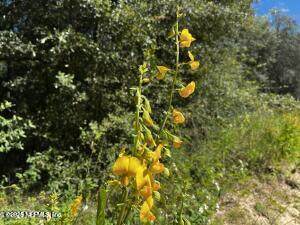 6076 Indian Trail Trail - Photo 1