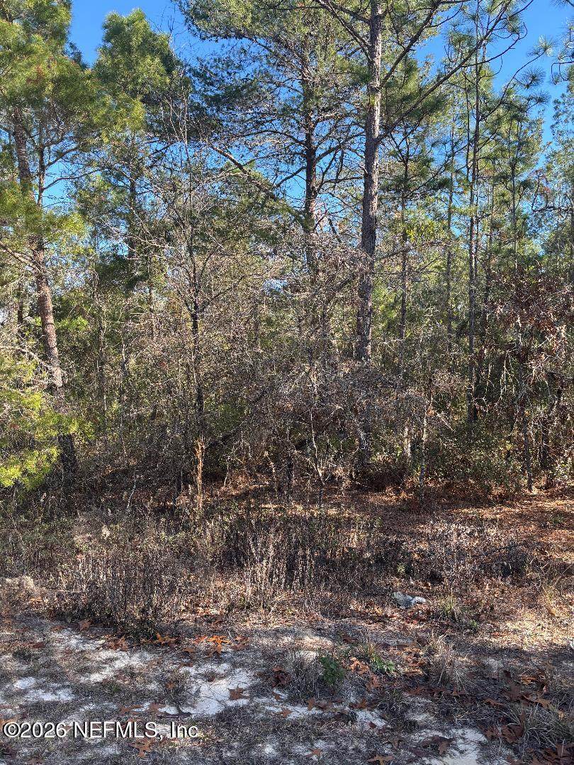 7457 Bienville Avenue - Photo 1