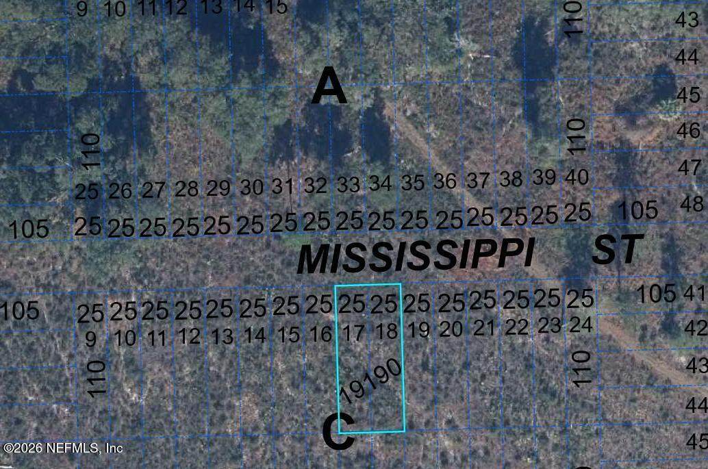 000 Mississippi Street - Photo 1