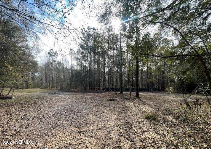 5569 Long Branch Road - Photo 1