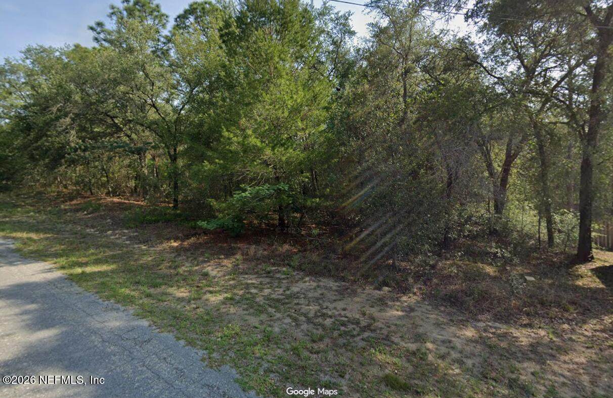 7919 Vince Drive - Photo 1