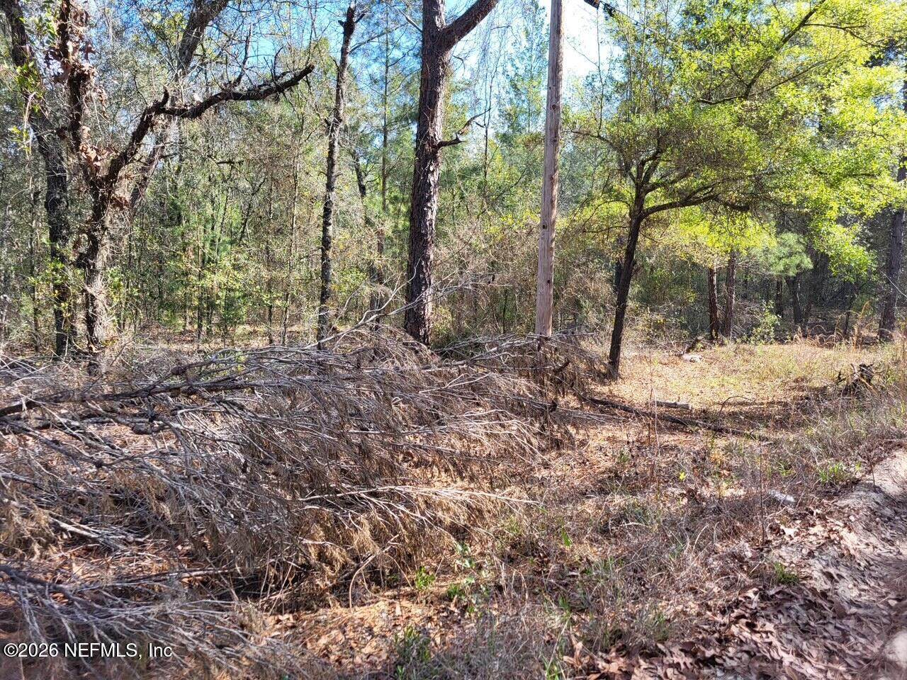 6040 Furman Avenue - Photo 1