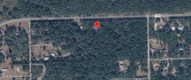869 County Road 308B - Photo 1