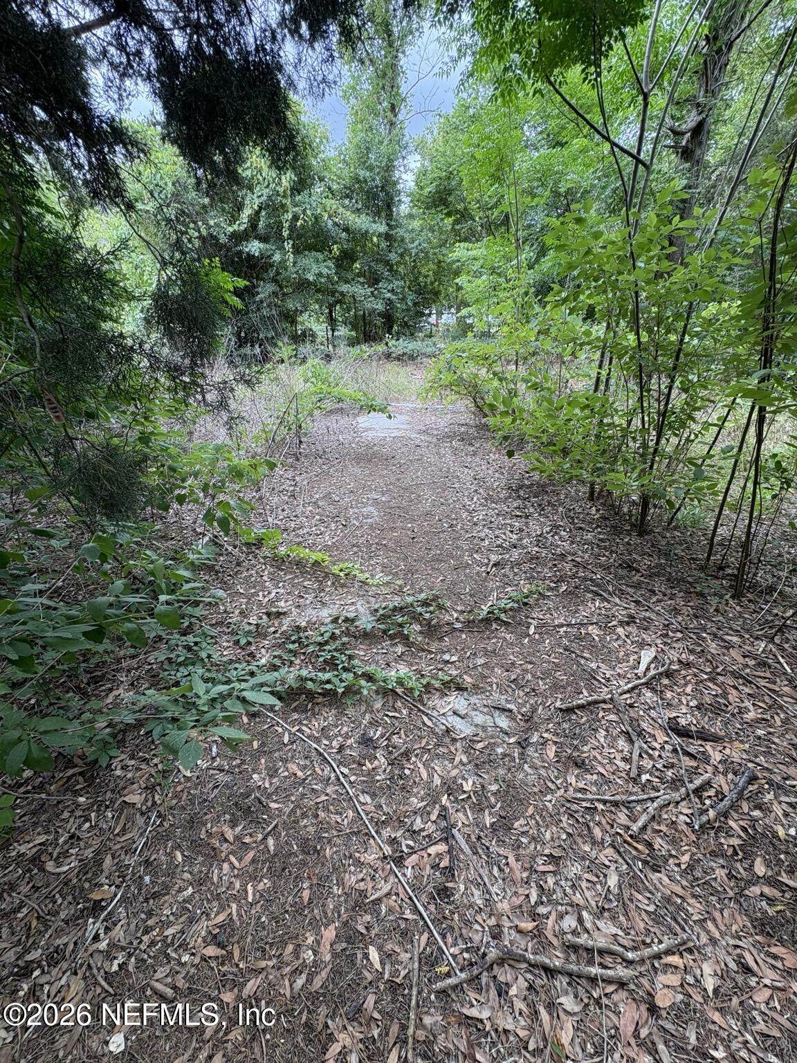 https://bt-photos.global.ssl.fastly.net/nefar/orig_boomver_1_2143400-2.jpg