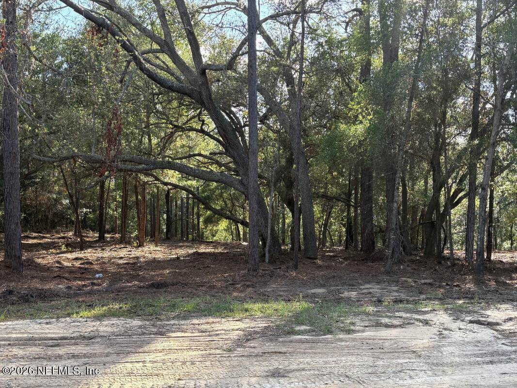 7472 Bigbend Court - Photo 1