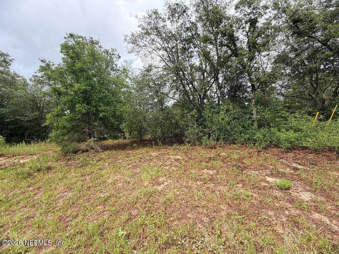 5736 Crater Lake Circle - Photo 1