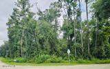 0 Suwannee Oaks Drive - Photo 2