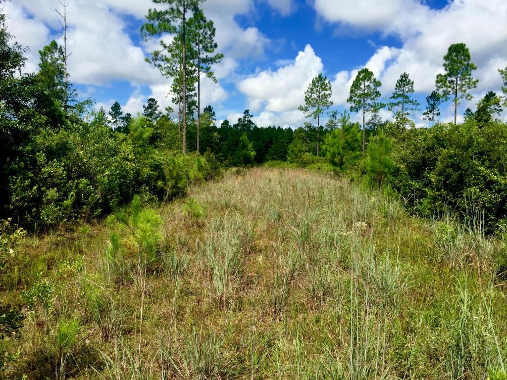 0 County Road 217 - Photo 1