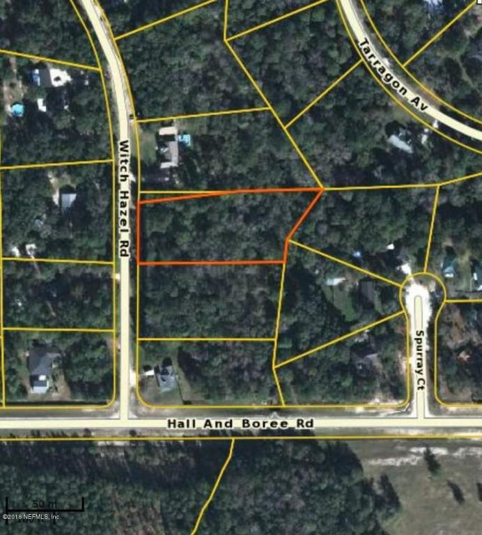 2885 Witch Hazel Rd - Photo 1