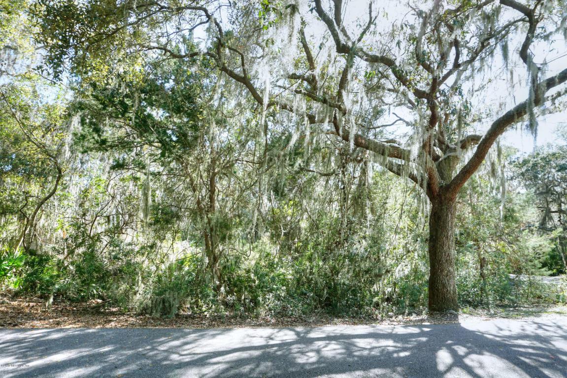 LOT 168 Royal Tern Dr - Photo 1