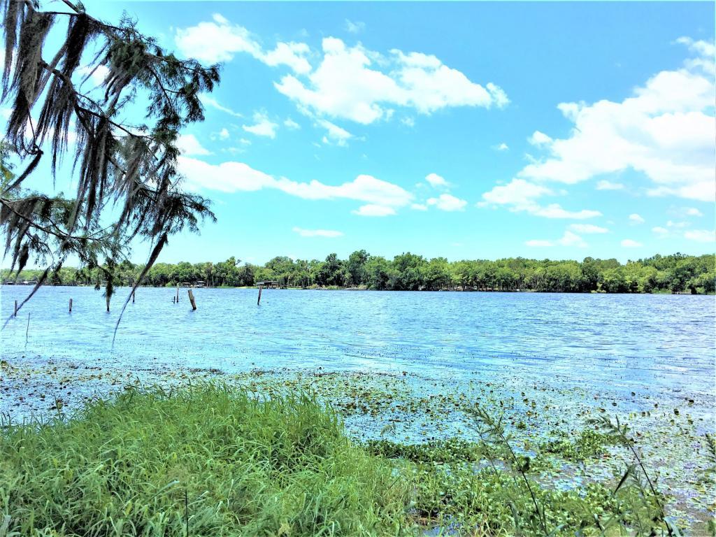 1463 County Rd 309 - Photo 1