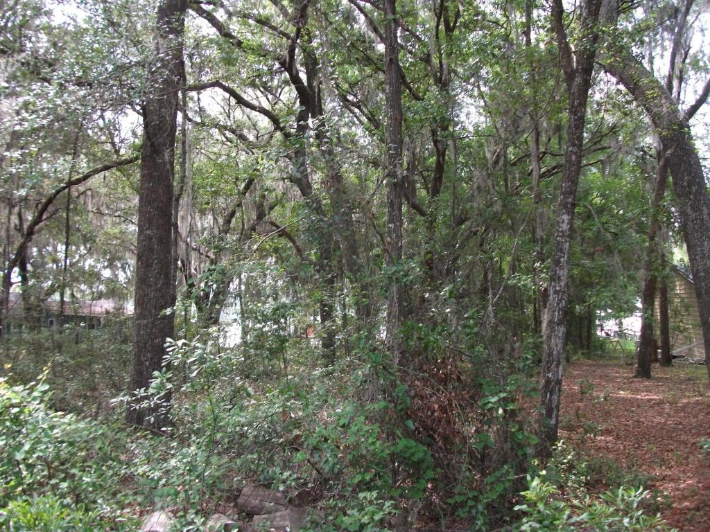 531 Hillsborough Ave - Photo 1