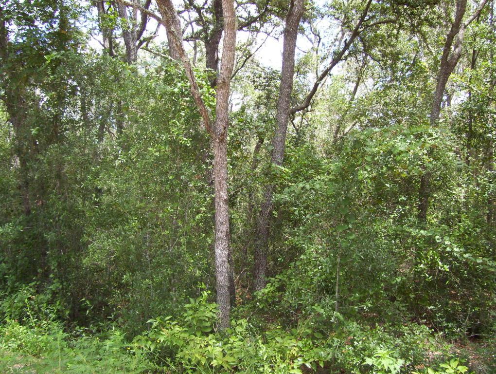 7039 Gatorbone Rd - Photo 1
