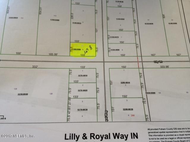00 Lily And Royal Way - Photo 1