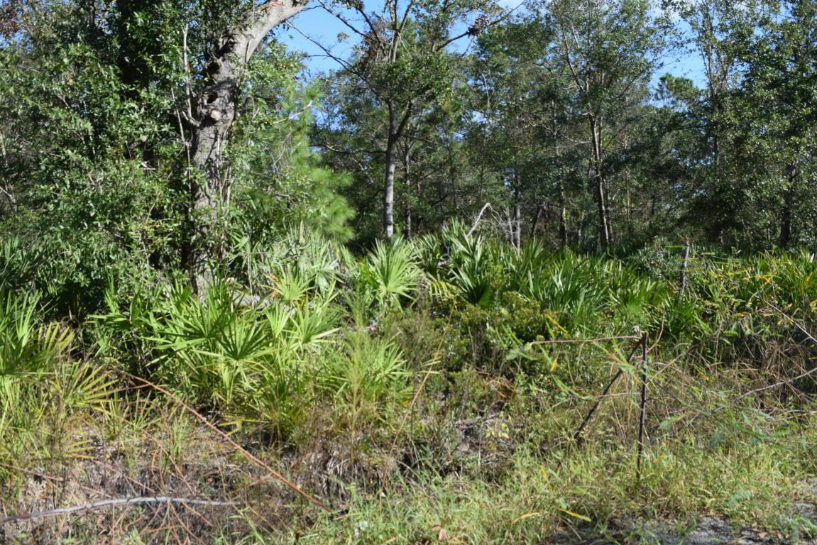 LOT Freeman Rd - Photo 1